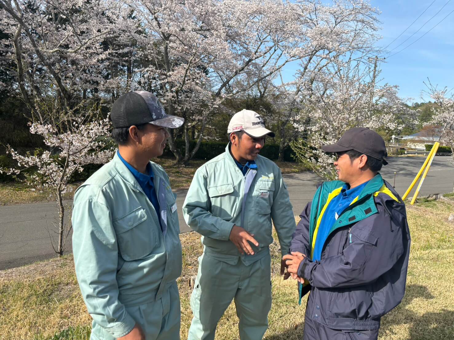 桜の咲くのゴルフ場で、作業服を着た3人の男性が屋外で会話をしている様子。