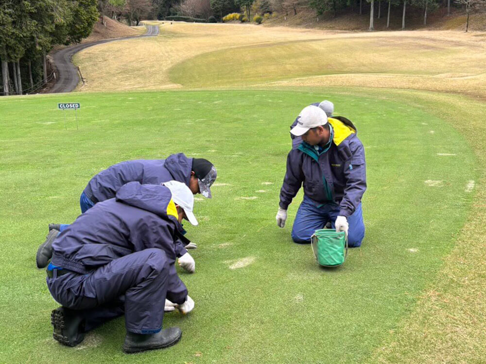ゴルフ場のバンカー脇で作業風景を見守る若い男性たち。手前にはバケツが置かれている。